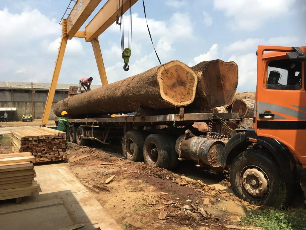 Douala tesisinde vinçle tomruk yüklemesi