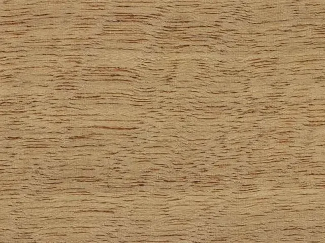 movingu